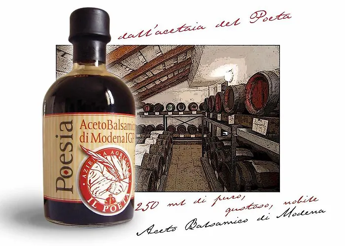 阿赛伊尔穆利尼奥迪纳威赛罗住宿加早餐旅馆 *