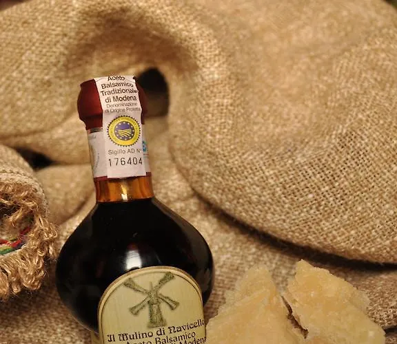 Acetaia Il Mulino Di Navicello カントリーハウス